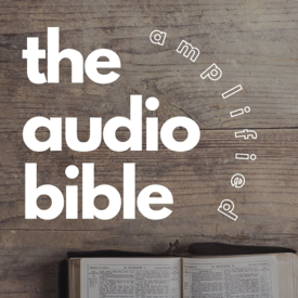 The Audio Bible
