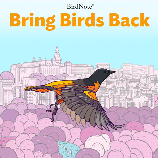 Bring Birds Back