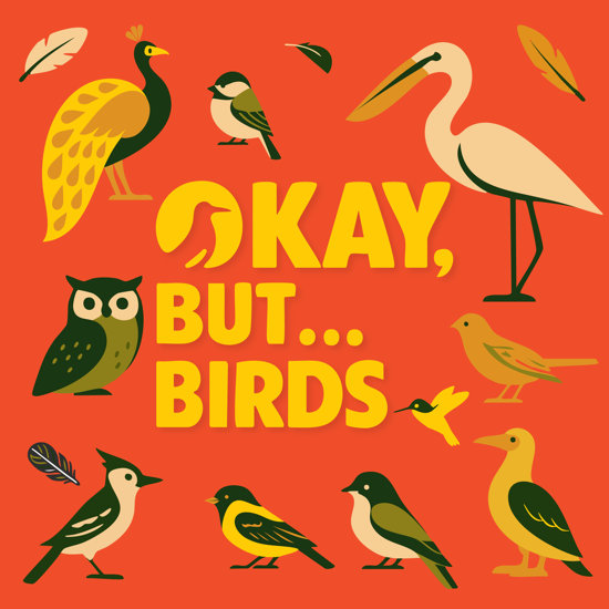 Okay, But... Birds
