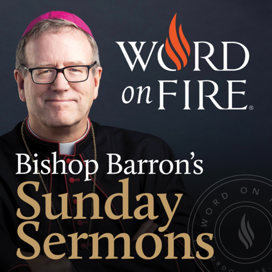 Bishop Barron?s Sunday Sermons - Catholic Preaching and Homilies